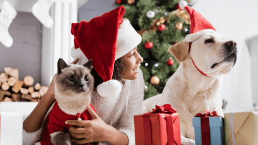 Show some love to furry friends and their owners